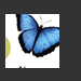 CD Label - Butterfly Strategies